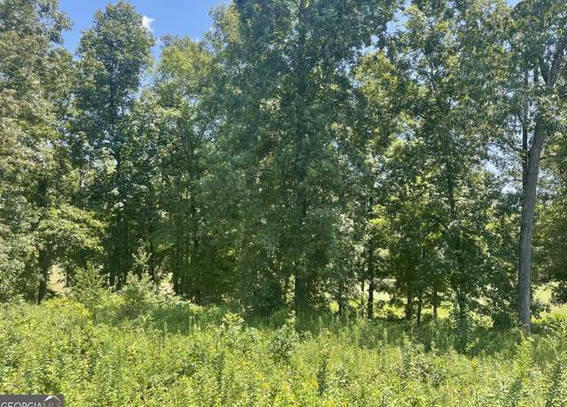 Property at LOT 11 Oak Dr, Hawkinsville, GA 31036