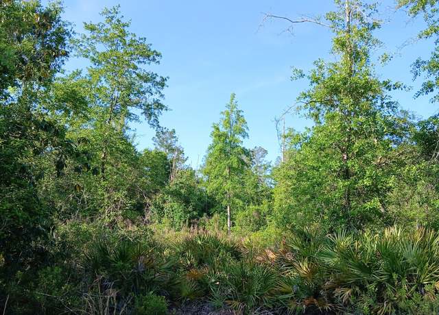 Property at 0 Old Traders Hill Rd Unit 2.84 ACRE PARCEL LOT, Folkston, GA 31537