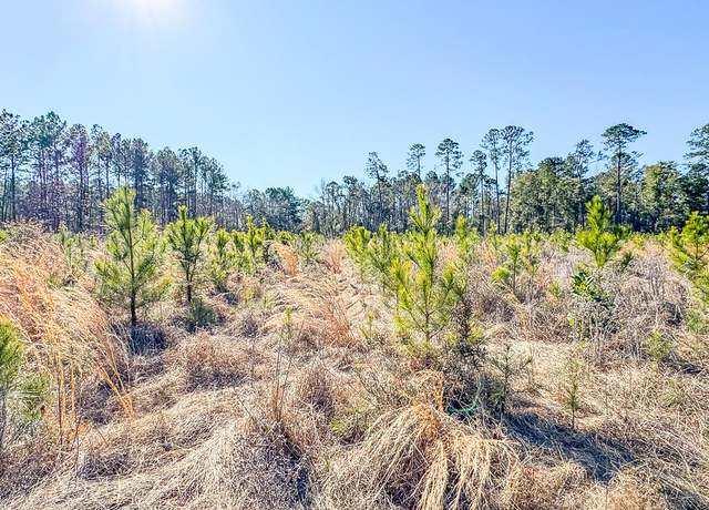 Property at 0 Highway 301 #7, Statesboro, GA 30461