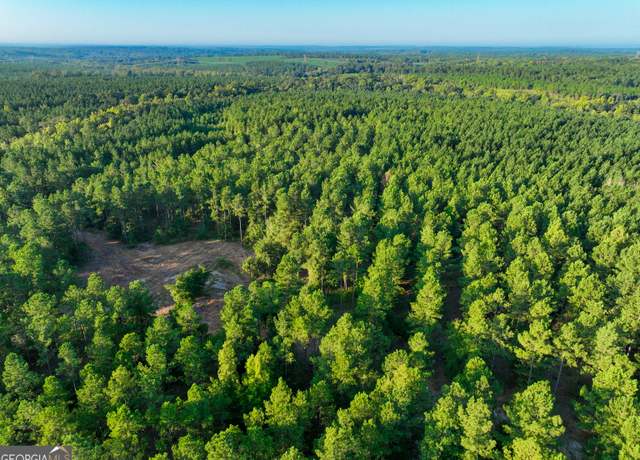 Property at 0 Union Church Rd, Warthen, GA 31094