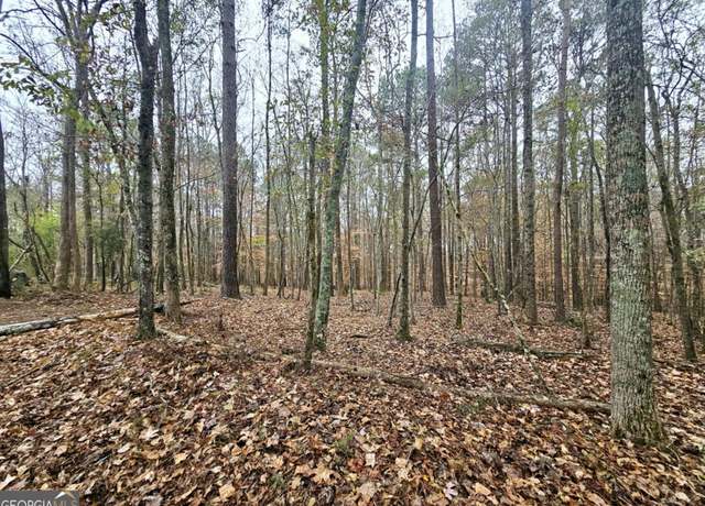 Property at 0 Dowdy Rd, Roopville, GA 30170