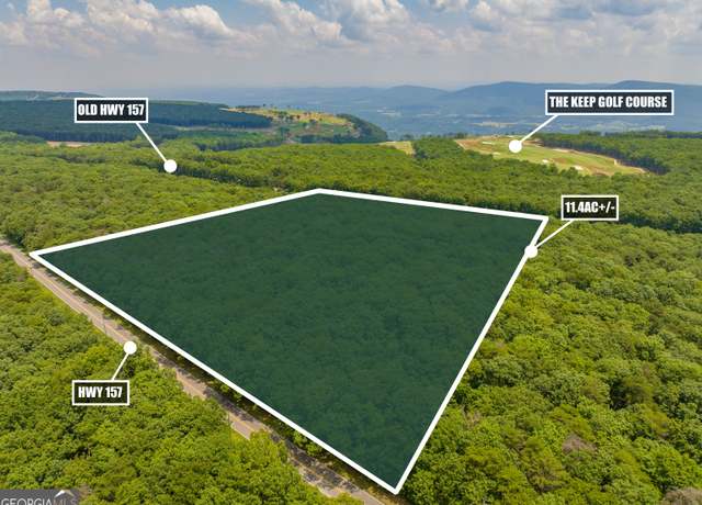 Property at 0 157 Highway GA, Menlo, GA 30731
