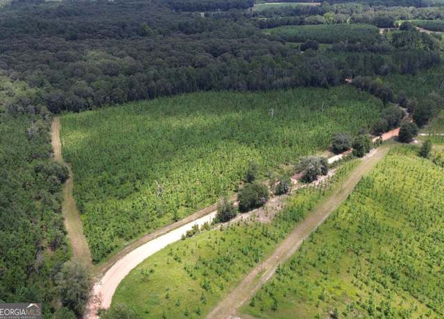 Property at 001 Beulah Rd, Sylvania, GA 30467