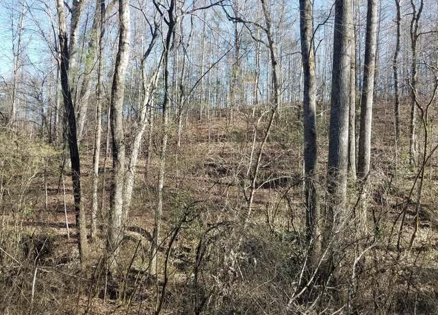 Property at LOT 1 AND 2 Tom Hunt Rd, Cleveland, GA 30528