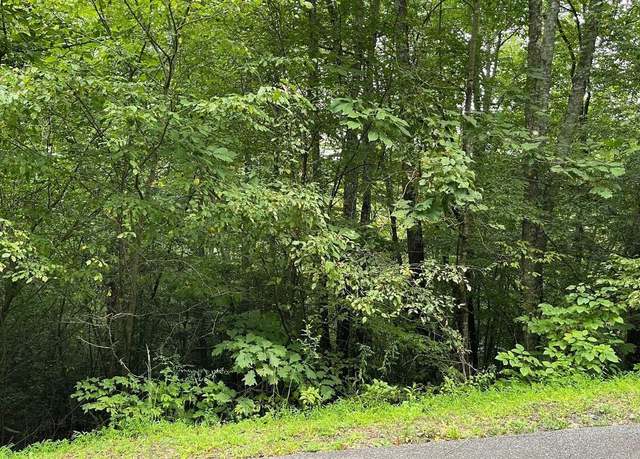 Property at LOT 7 Bear Trl, Hiawassee, GA 30546