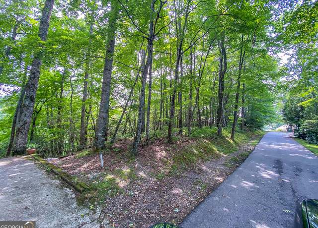 Property at LOT 1 Pleasant Mountain Dr, Sky Valley, GA 30537