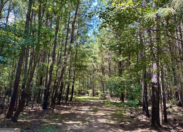Property at 0 Hwy 19 N, Lumber City, GA 31549