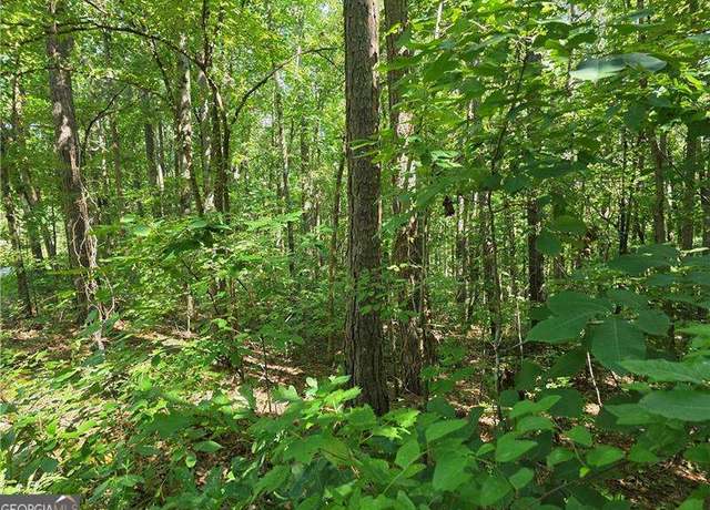 Property at 0 Lawson Federal Rd, Ball Ground, GA 30107