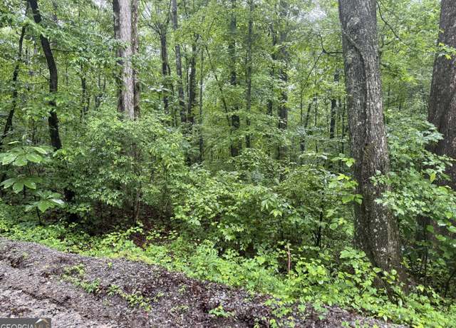 Property at 0 Vaughn Rd, Temple, GA 30179