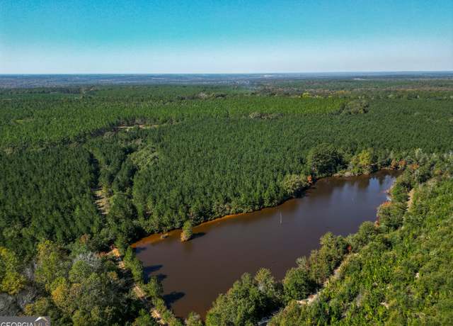 Property at 652 ACRES Ga Hwy 45 S, Americus, GA 31719