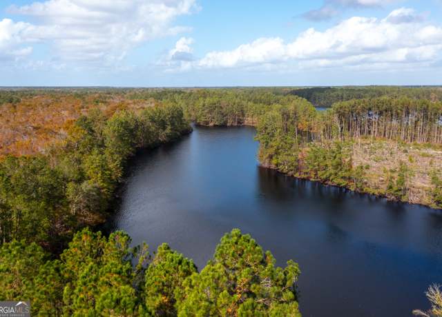 Property at 124 Harvey Rd, Bloomingdale, GA 31302