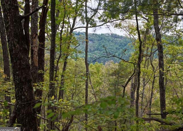 Property at LOT 20 Crabapple Ln, Mineral Bluff, GA 30559