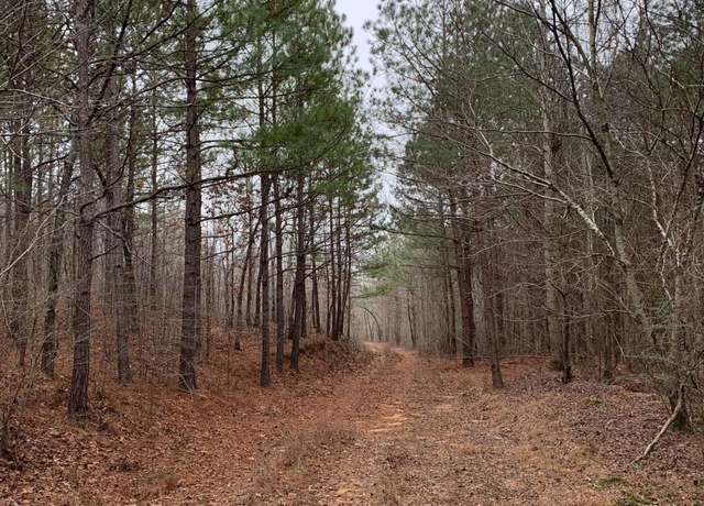 Property at 0 County Road 249, Woodland, AL 36280