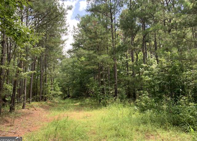 Property at 0 County Road 249, Woodland, AL 36280