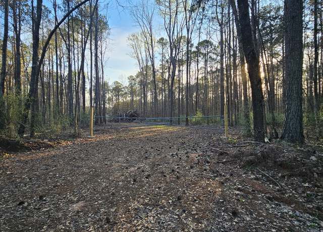 Property at 9.19 AC Gay Rd, Monticello, GA 31064
