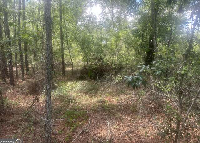 Property at 0 Robert Chapel Cemetery Rd, Glennville, GA 30427