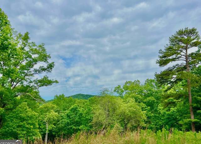 Property at 788 Beavers Dr, Morganton, GA 30560