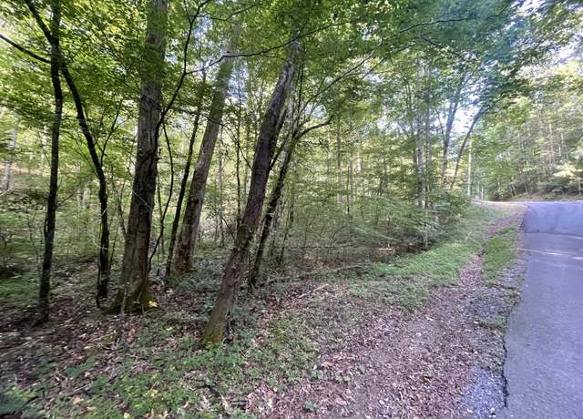 Property at 730 Nettle Ln, Ranger, GA 30734