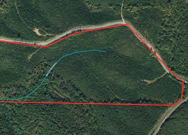 Property at 49.5 AC County Road 804, Wedowee, AL 36278