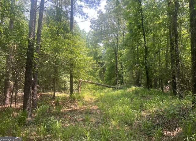 Property at 0 Branan Rd, Toomsboro, GA 31090