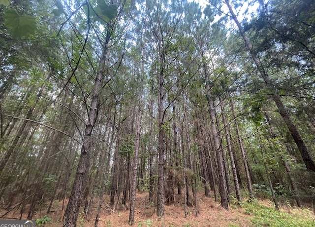 Property at TRACT 3 Sheppard Rd, Franklin, GA 30217