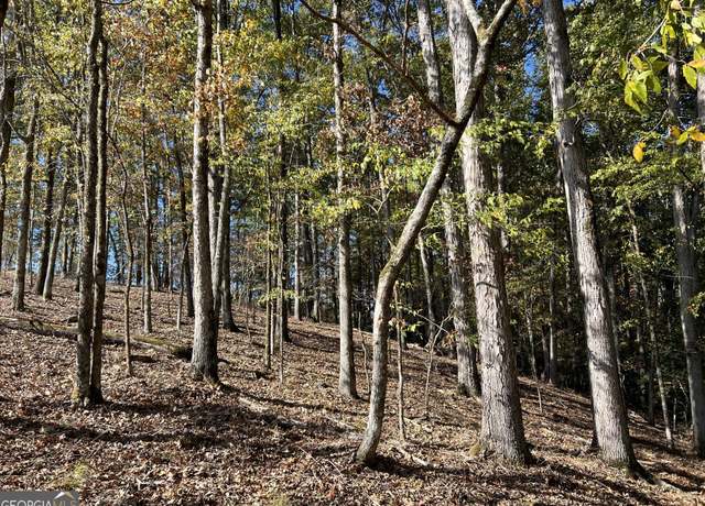 Property at TRACT 1 NORTH Ruckersville Rd, Elberton, GA 30635