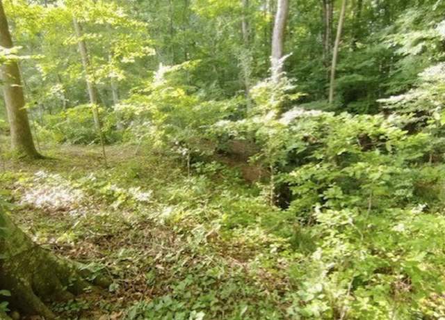 Property at 620 Ivy Creek Dr, Nicholson, GA 30565