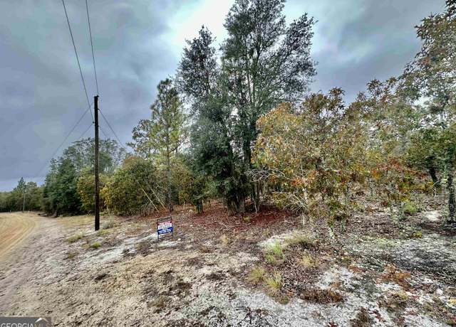 Property at 0 Coleman Bridge Rd, Cobbtown, GA 30420