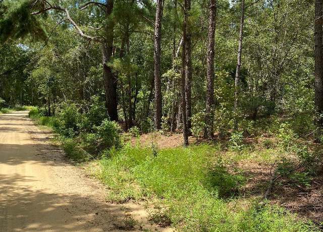 Property at 0 Mt Zion Church Rd, Garfield, GA 30425
