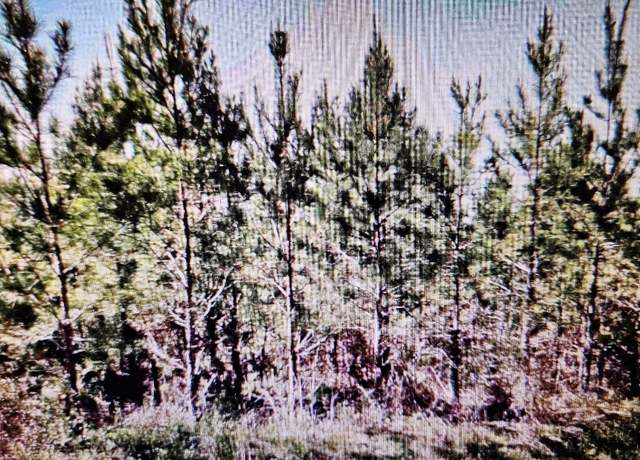 Property at 000 Old Vienna Rd, Elko, GA 31025