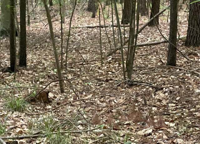 Property at 0 Cedar Grove Rd, Buckhead, GA 30625