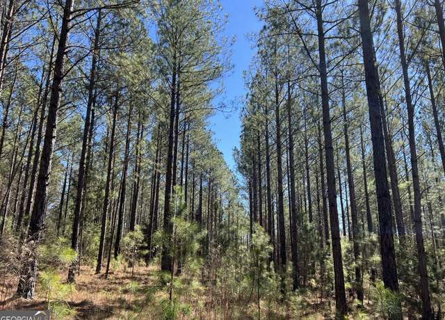 Property at TRACT B1 Hulmes Chapel Rd, Elberton, GA 30635