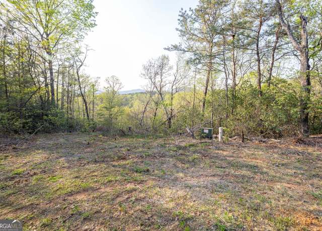 Property at 0 Mountain Lion Trl Lot 40D, Sautee Nacoochee, GA 30571