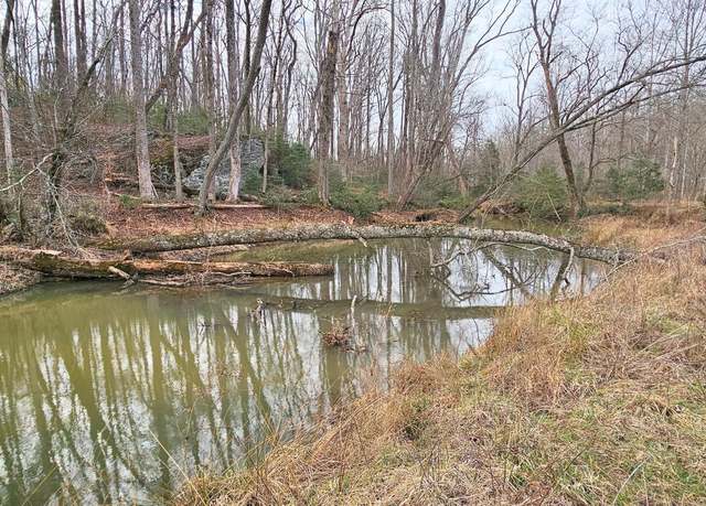 Property at 0 Gladston Dr, Mount Airy, GA 30563