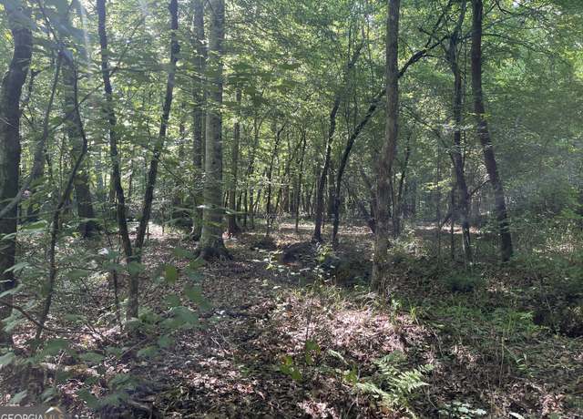 Property at 0 Bevis Rd Parcel 7, Franklin, GA 30217