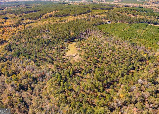 Property at 0 GA Highway 26, Elko, GA 31025