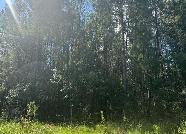 Property at 0 Dubberly Rd, Baxley, GA 31513