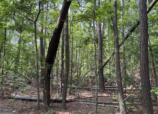 Property at 0 Union Church Rd, Thomson, GA 30824