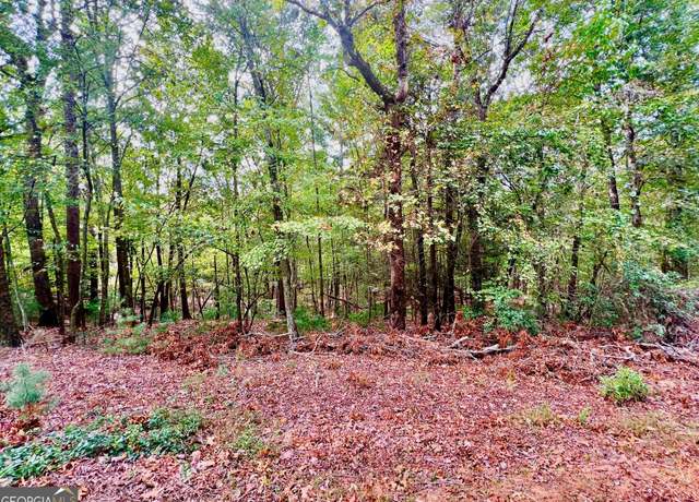 Property at 298 Etowah Dr, Ellijay, GA 30540