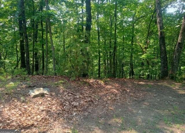 Property at LT 1227 Hilton Dr #1227, Ranger, GA 30734