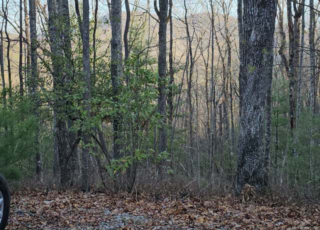 Property at 0 Eagle Eye Trl #89, Tiger, GA 30576