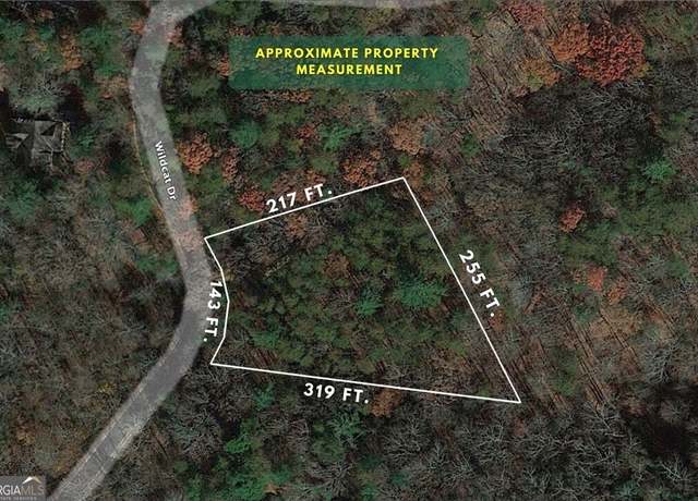 Property at 2192 Wildcat Dr #304, Dawsonville, GA 30534