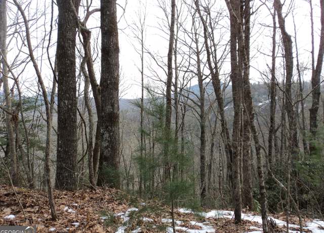 Property at 0 Evans Creek Rd, Scaly Mountain, NC 28775
