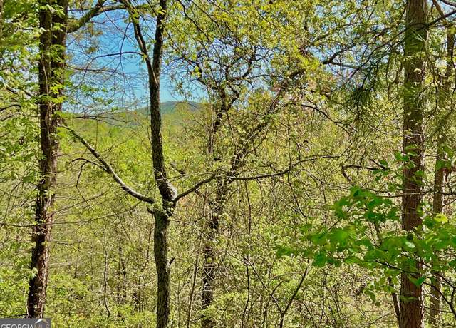 Property at 691 Railey Ridge Ln, Ranger, GA 30734