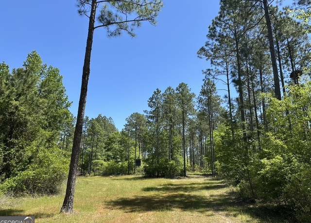 Property at 0 Jim Pruett Rd, Eastman, GA 31023