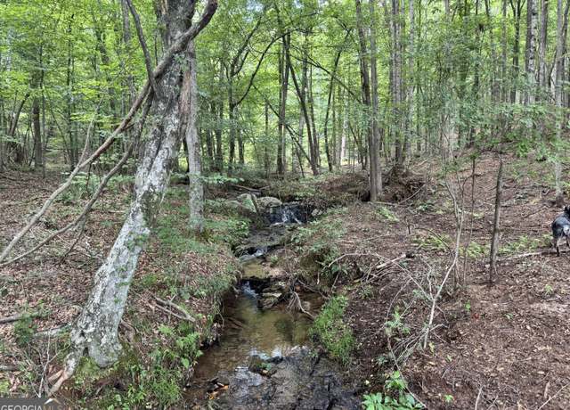 Property at 140+/- AC Hwy 100, Franklin, GA 30217