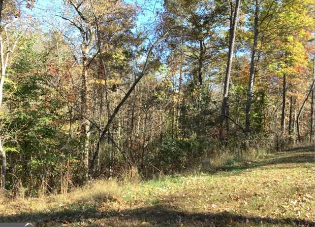 Property at 0 High River Rd, Ellijay, GA 30540