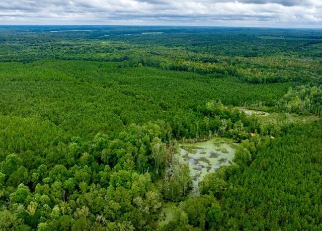 Property at 0 Pine Creek Rd, Ellaville, GA 31806