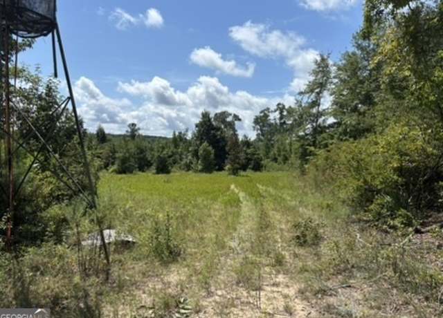 Property at 0 Pineville Rd, Buena Vista, GA 31870