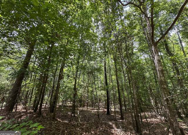 Property at 9.82 +/- ACRES Springfield Rd, Sparta, GA 31087